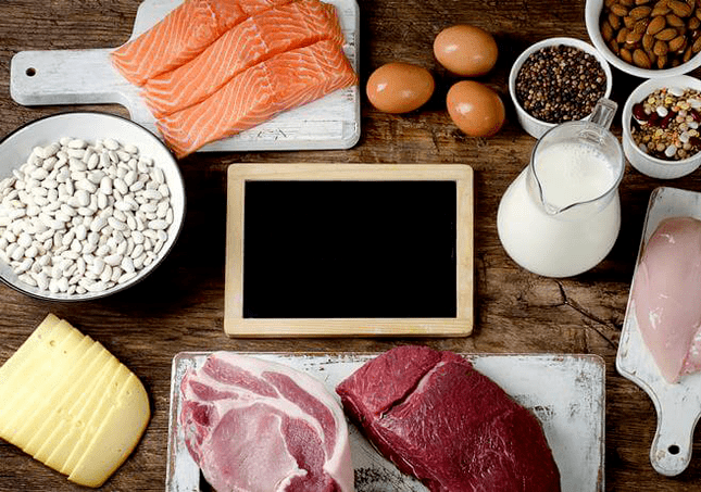 the role of protein in weight loss